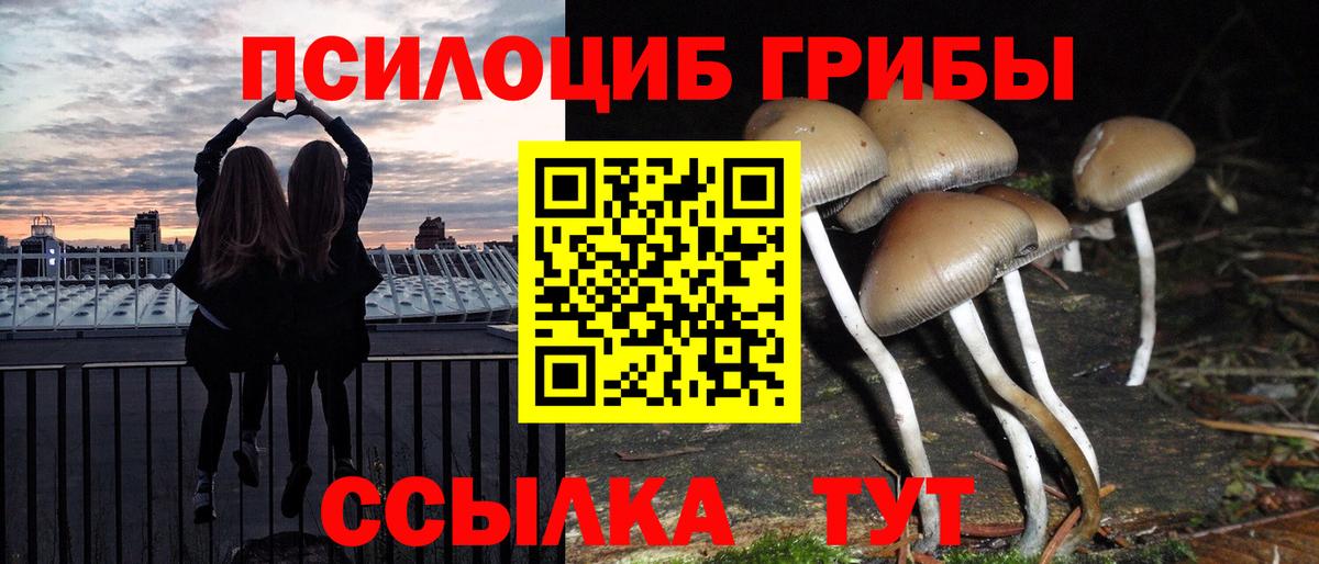 Галлюциногенные грибы Psilocybine cubensis  Галлюциногенные грибы ЛСД  Татарск  Вход с VPN 